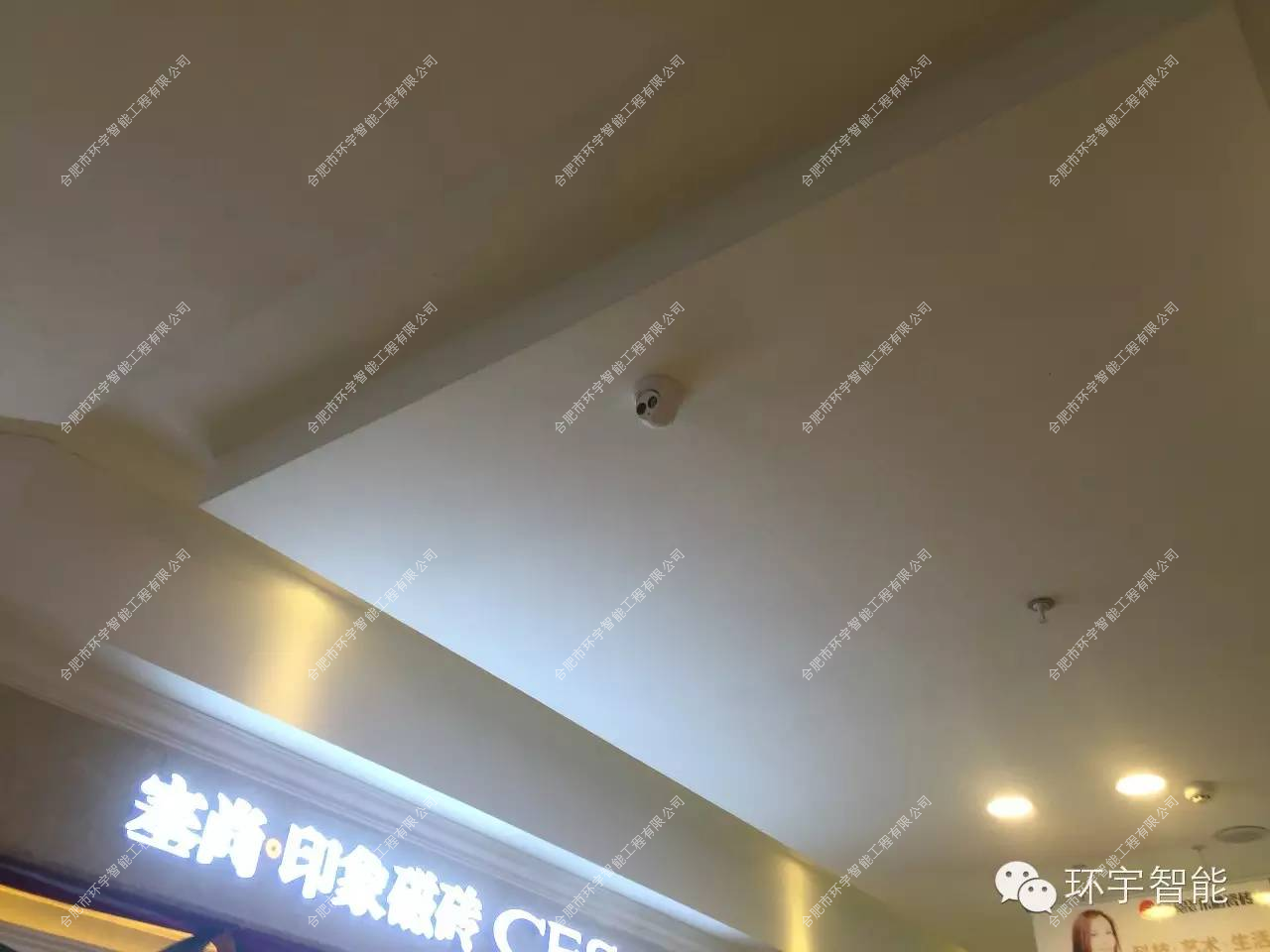 1733296800754088.png 圖片 10.png